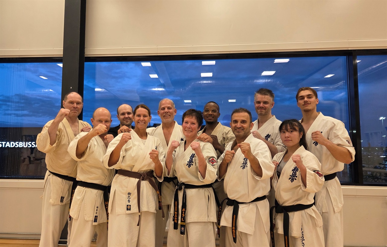 Main image of IF Seishin Kyokushin Karate