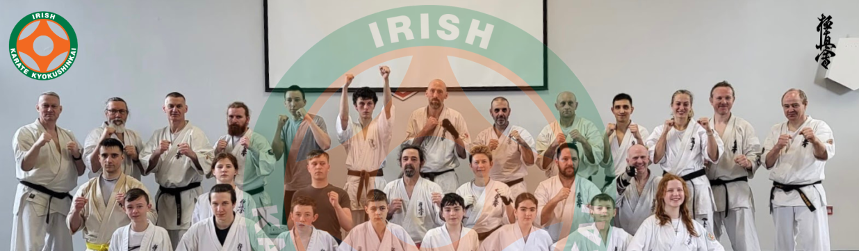Main image of IFK Ireland