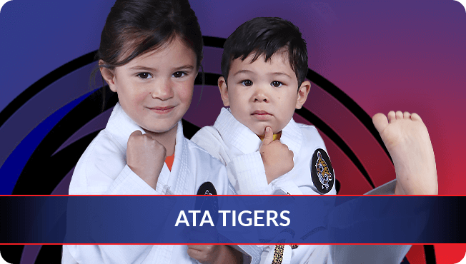 Main image of Ignite Ata