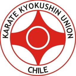 Main image of IKO UNION CHILE