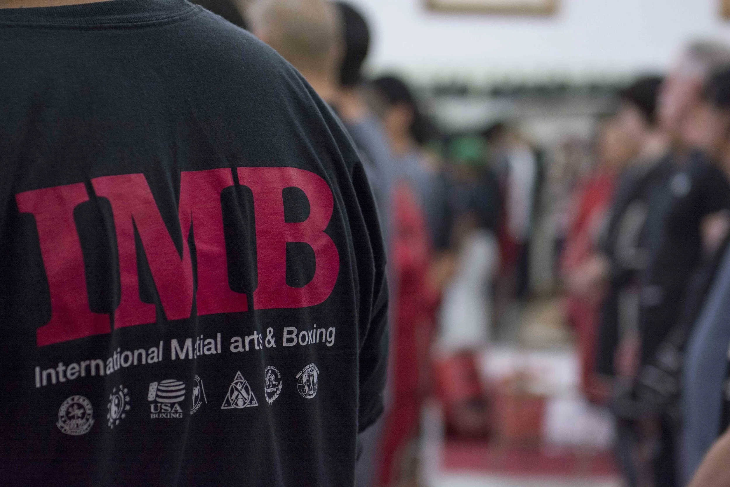 IMB Academy