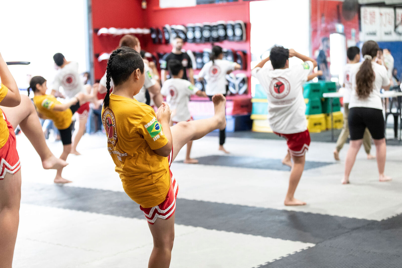 Main image of IMC Revesby Martial Arts