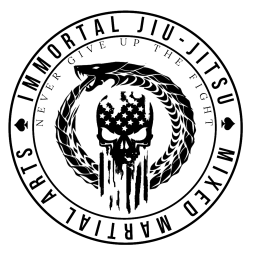 Main image of Immortal Mixed Martial Arts