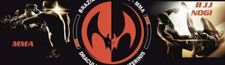 Main image of Immortals Team Greece