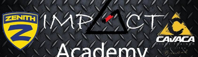 Main image of Impact Academy