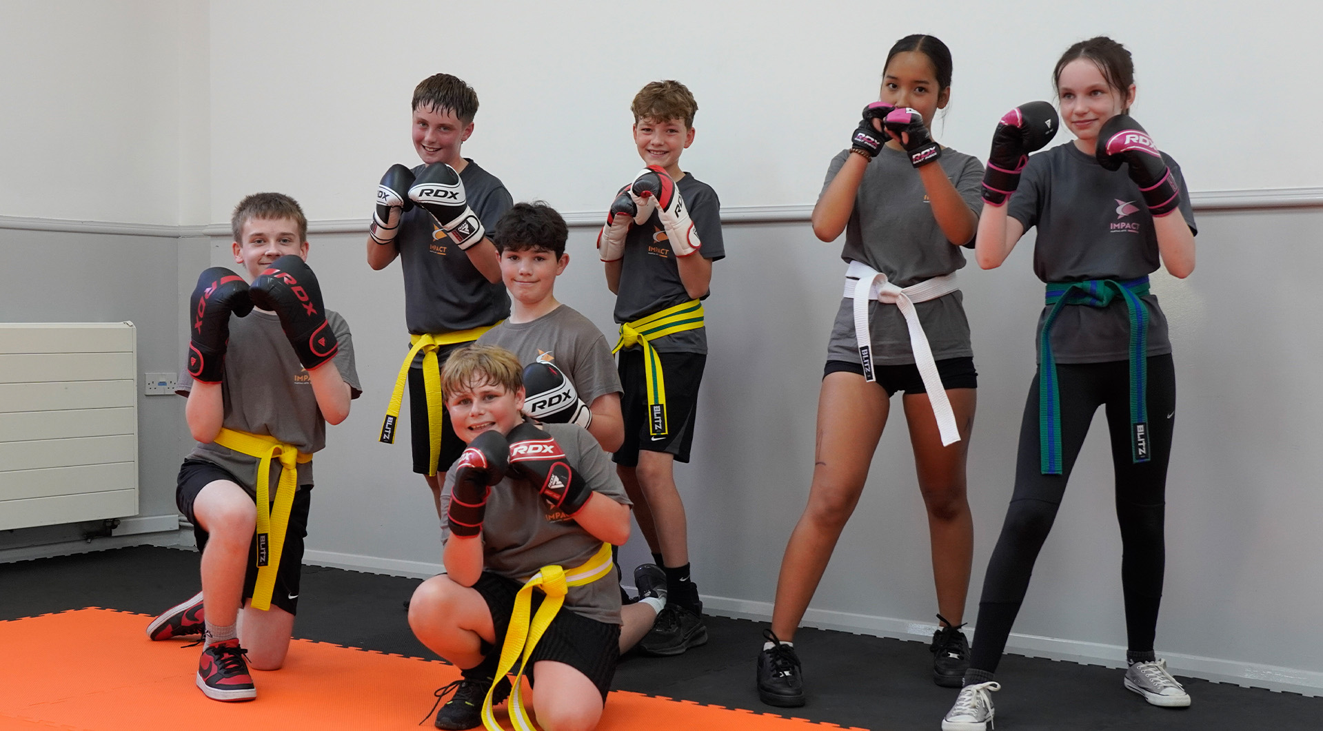Main image of Impact Martial Arts
