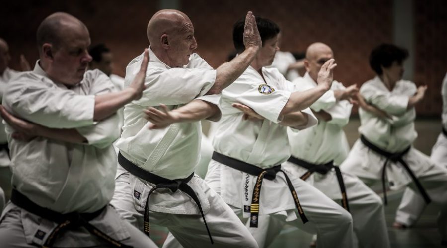 Main image of Impulse Martial Arts
