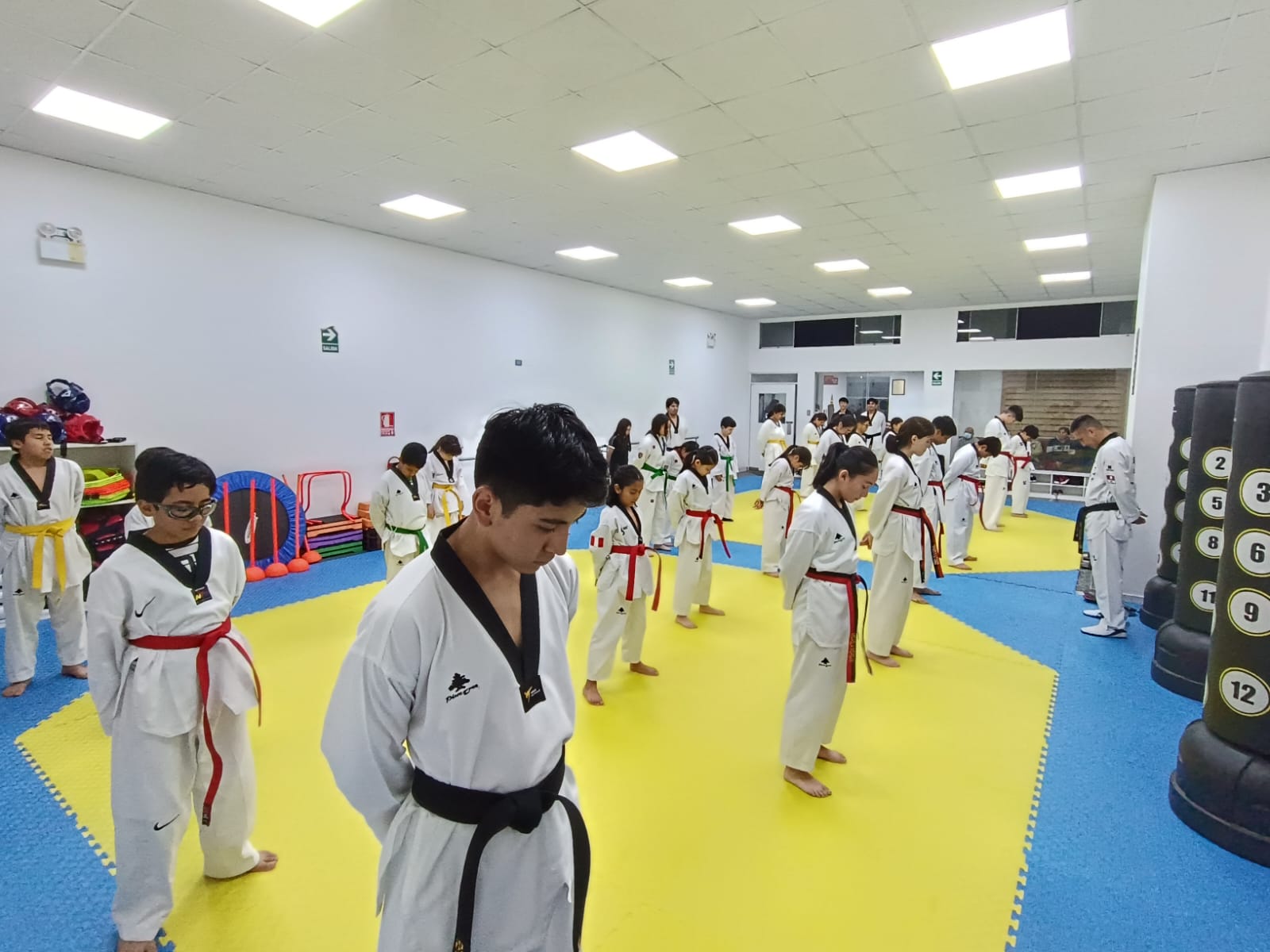 Main image of In Nae Tae Kwon Do - Tahuaycani