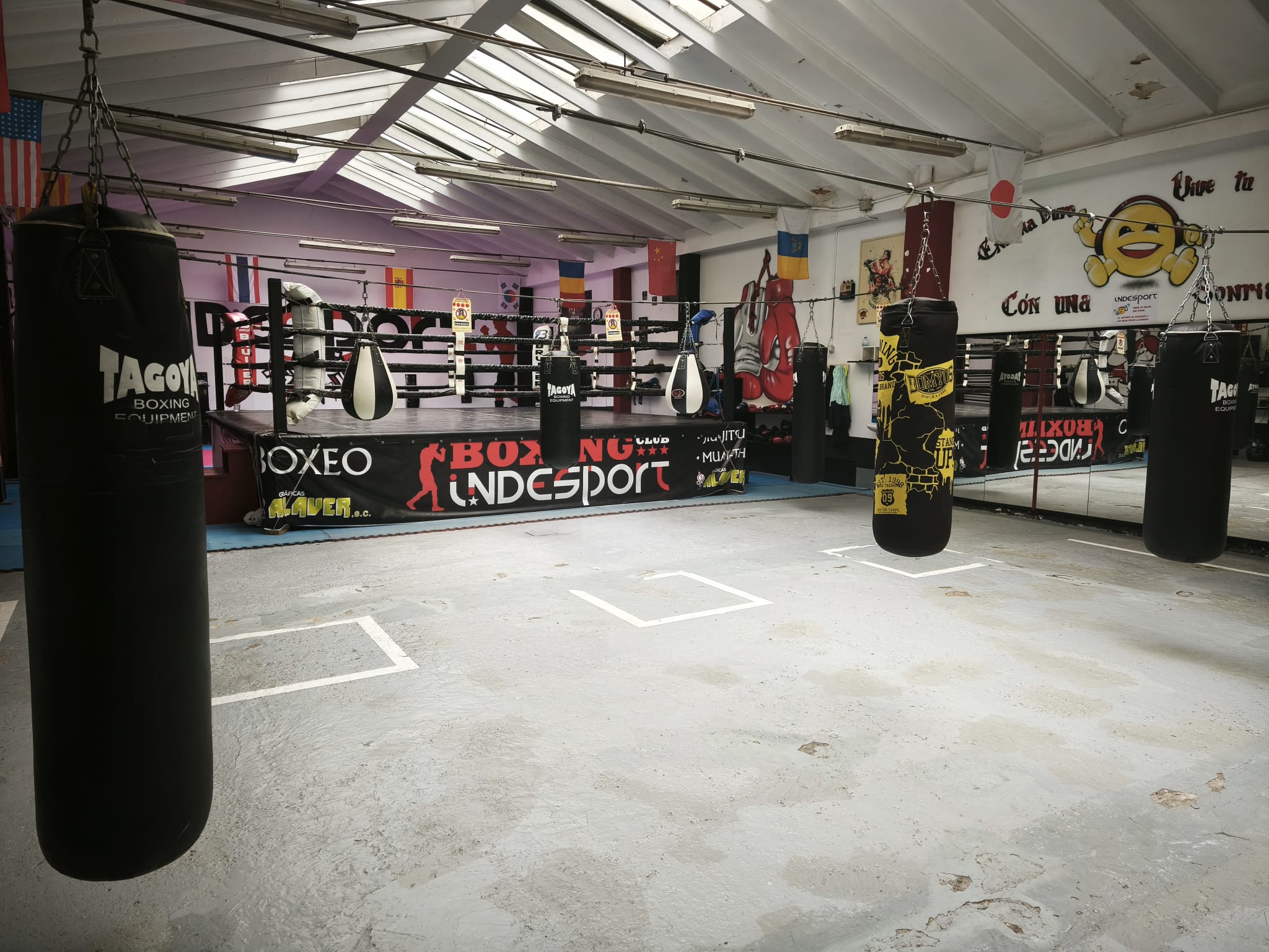 Indesport Boxing Club academy photo