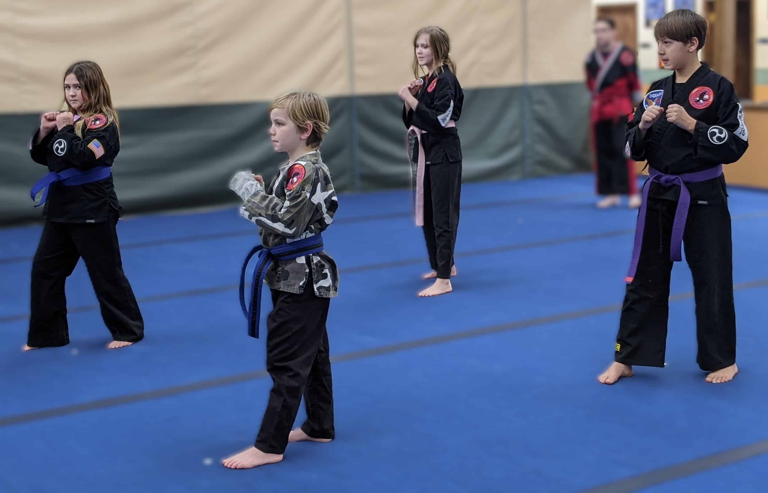 Main image of Indiana Martial Arts