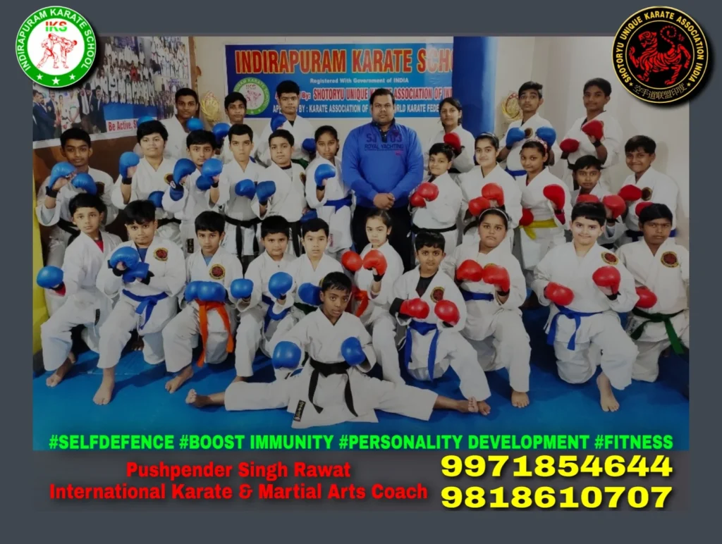Main image of Indirapuram Karate School