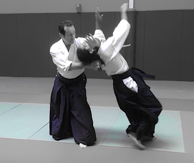 Main image of Institute Aikido Akj