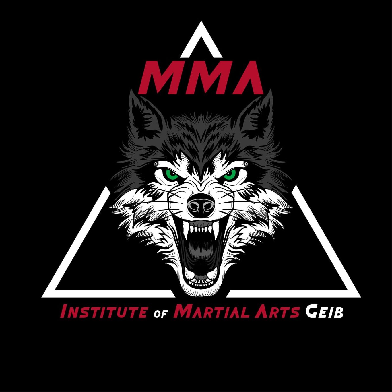 Main image of Institute of Martial Arts Geib
