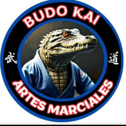 Main image of Instituto Budokai