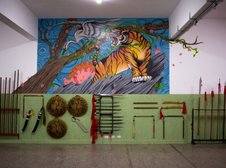 Main image of Instituto Long Fei de Artes Marciais