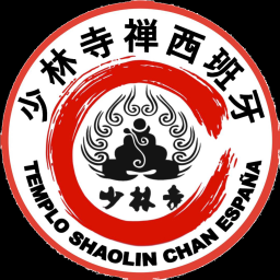 Main image of INSTITUTO SHAOLIN SAN PEDRO
