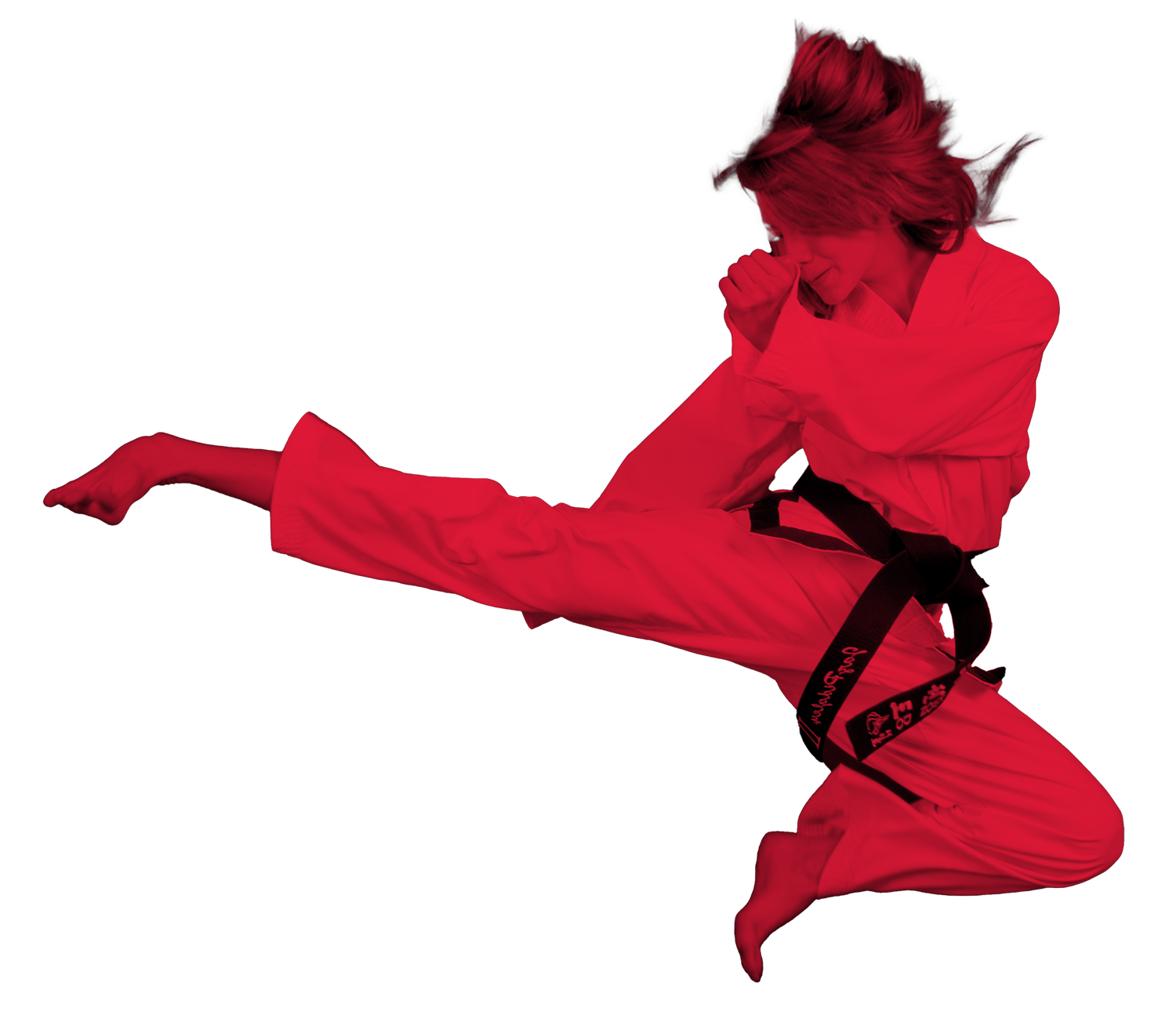 Main image of Integrity Martial Arts