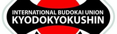 Main image of International Budokai Union Kyodokyokushin