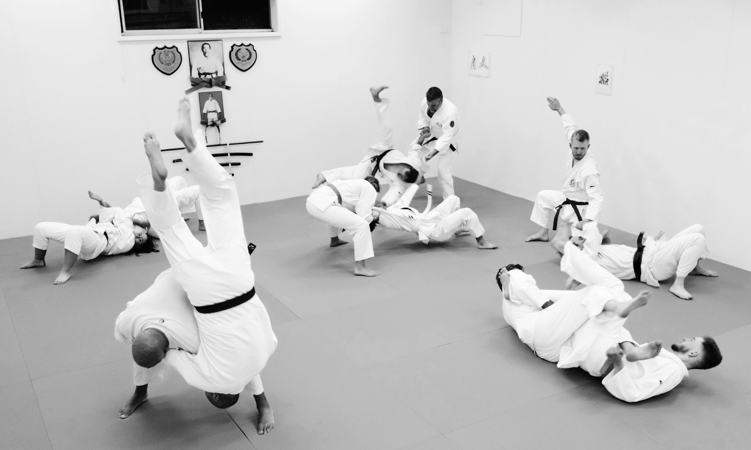 Main image of International Jujutsu Institute