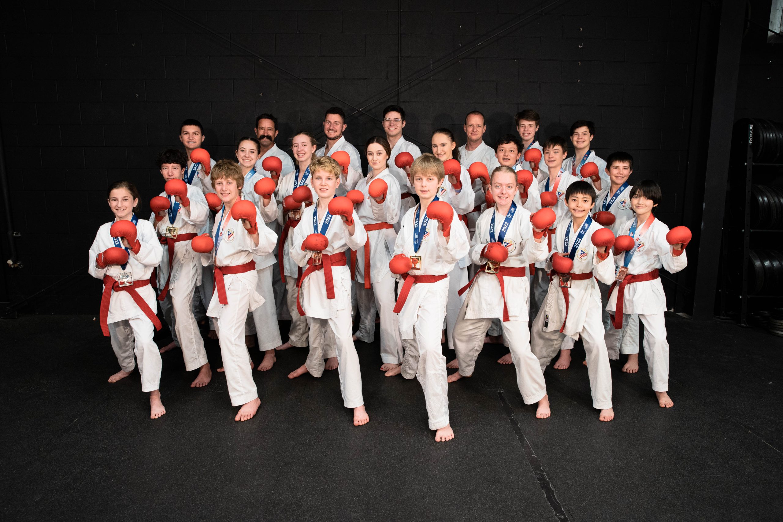 Main image of International Martial Arts