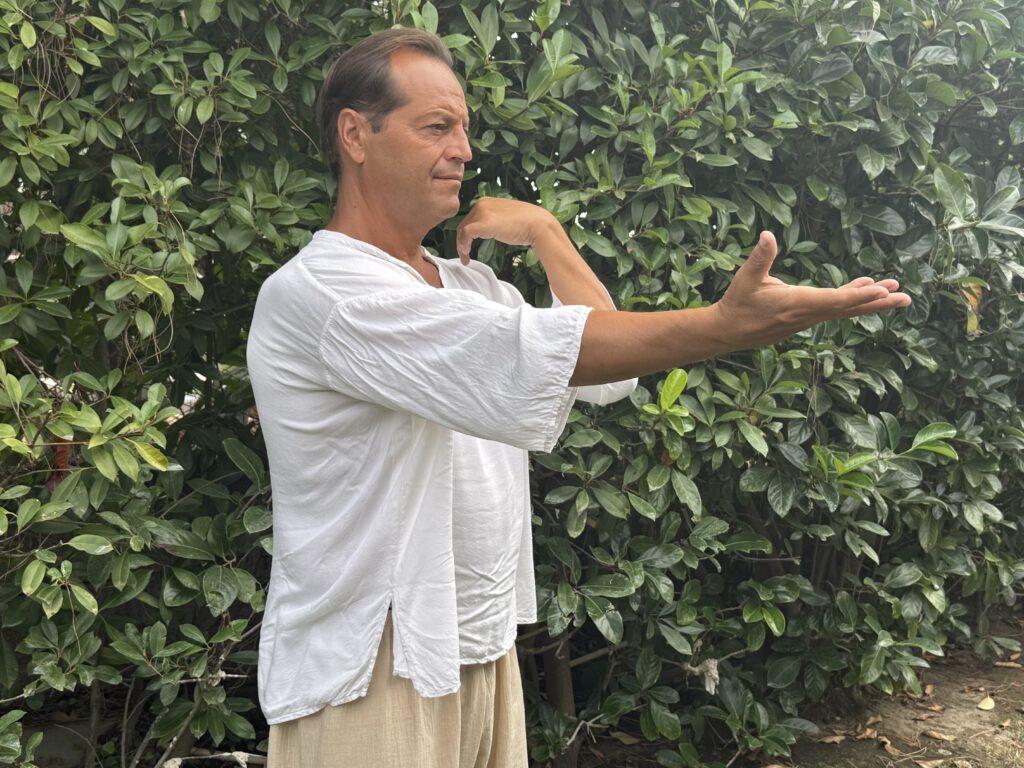 Main image of International Taijiquan Kung Fu Association