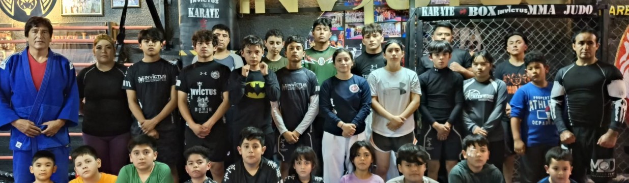 Main image of Invictus Artes Marciales Mixtas