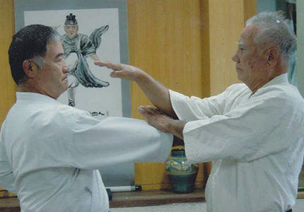 Main image of IOGKF Jalisco, Senshin Dojo