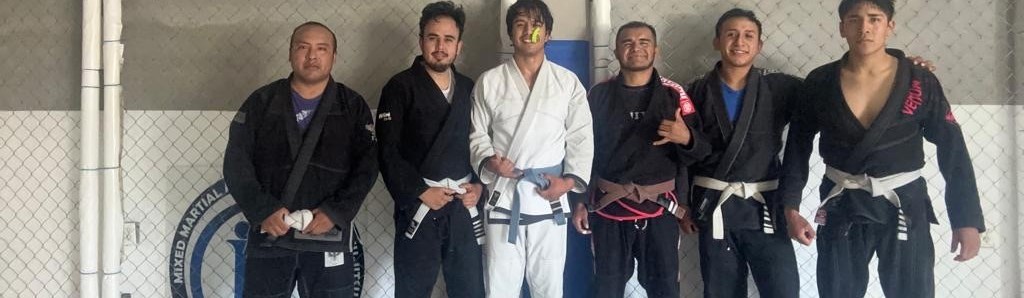 Main image of IP JIU JITSU