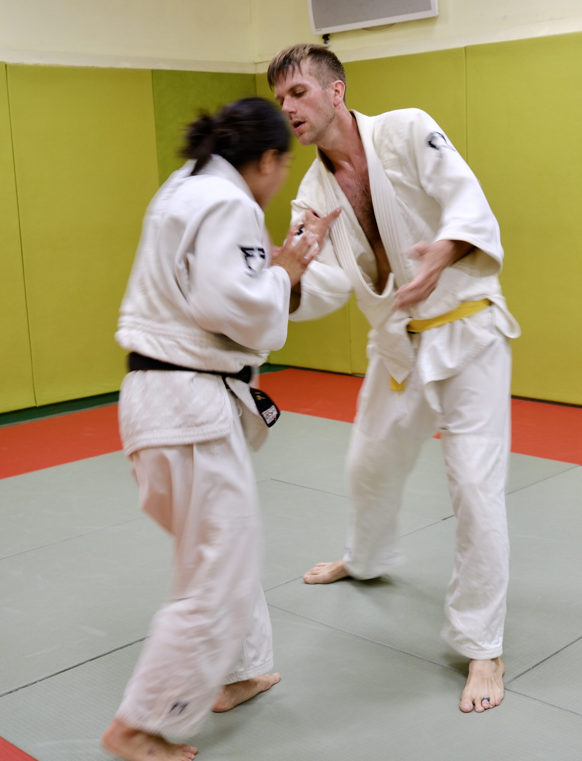 Main image of Ippon 5 Judo Jujutsu Bresilien