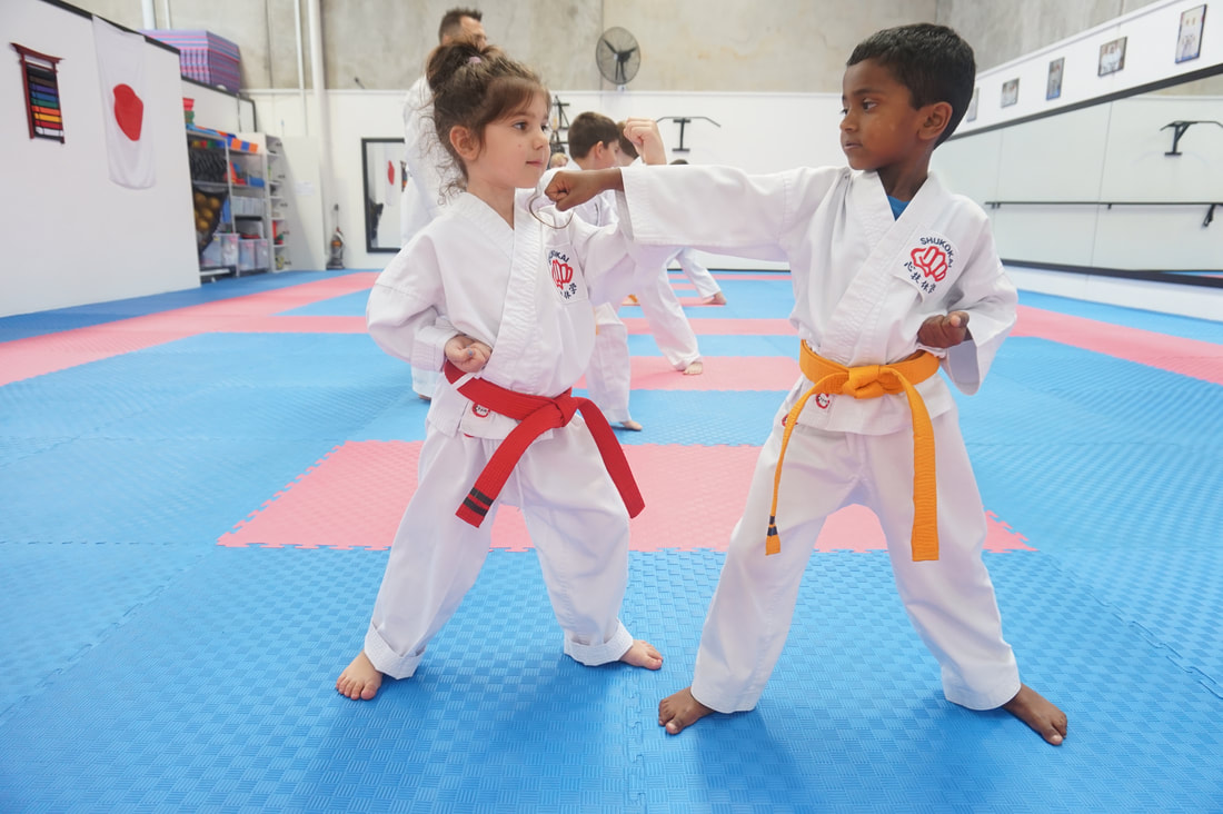 Main image of Ippon Karate Academy