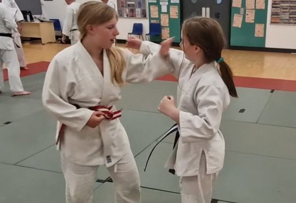 Main image of Ippon Ryu Ju Jitsu