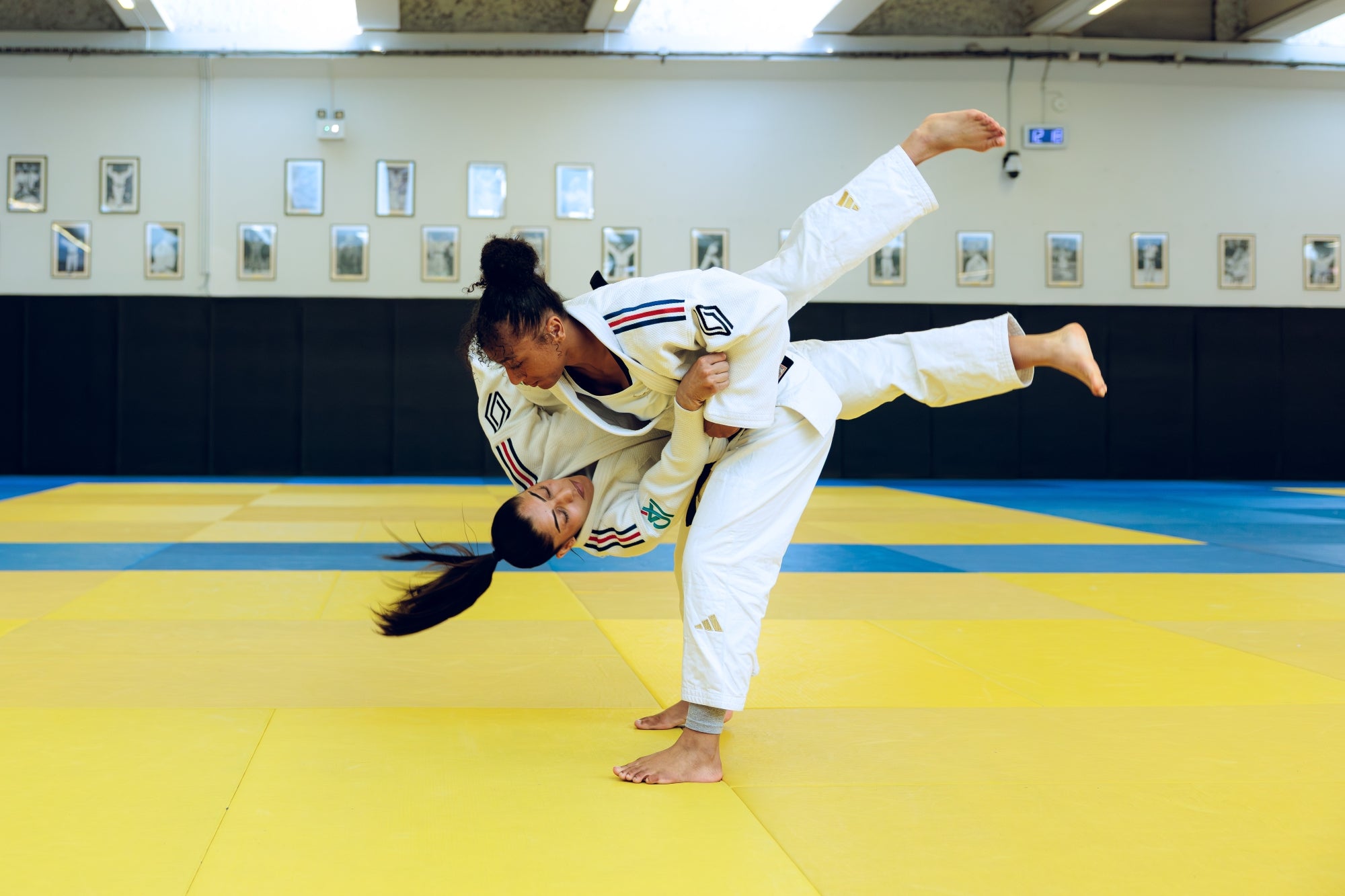 Main image of Ippon Star