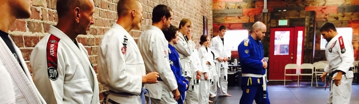 Main image of IQ Jiu Jitsu