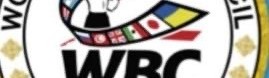 Main image of Iran WBC amateur Muaythai