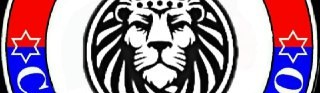 Main image of Iranian Tigers