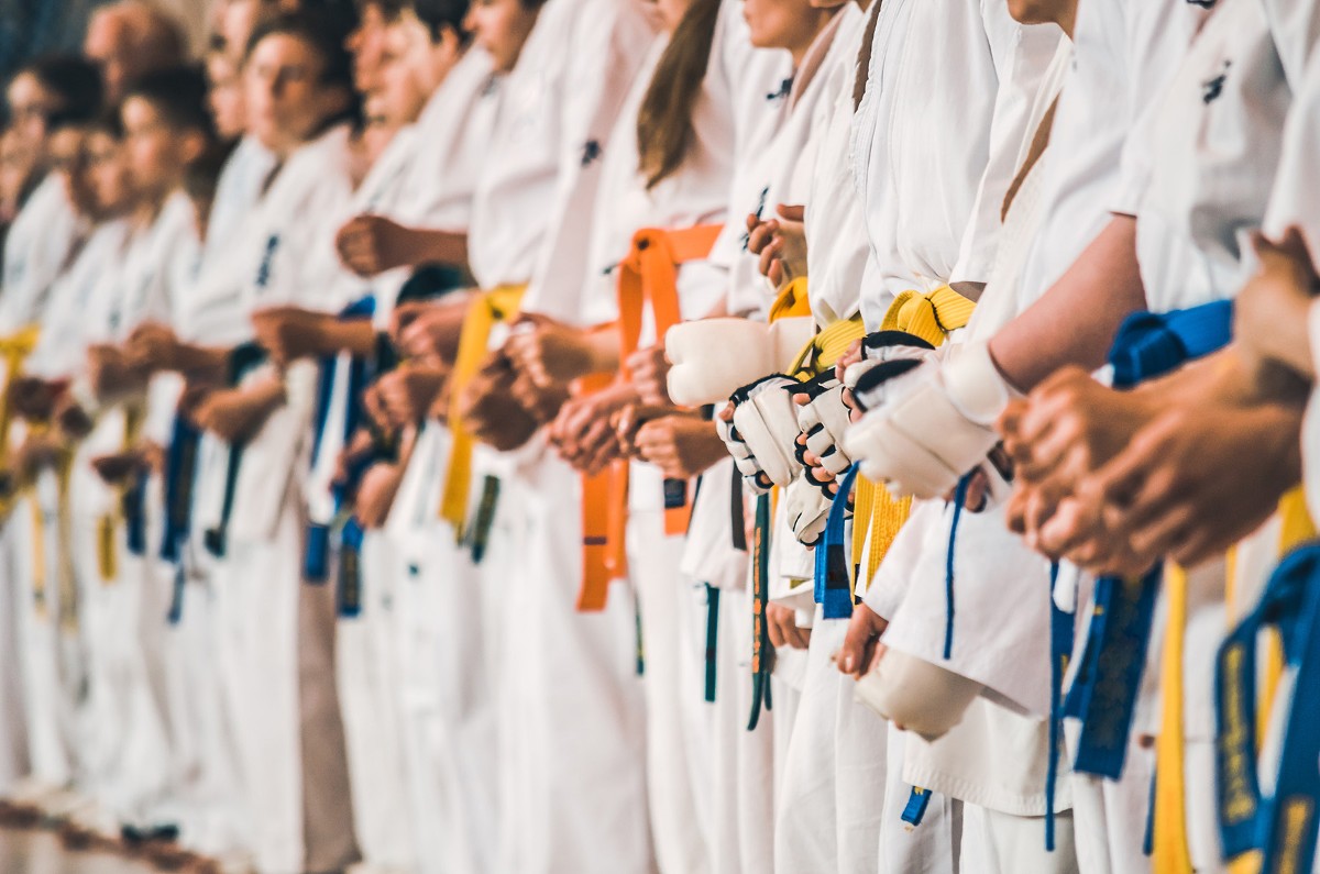 Main image of IRISE Martial Arts Southeast