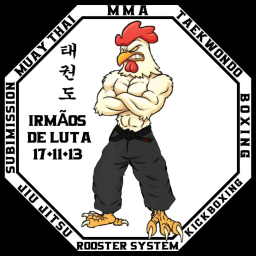 Main image of Irmãos de luta