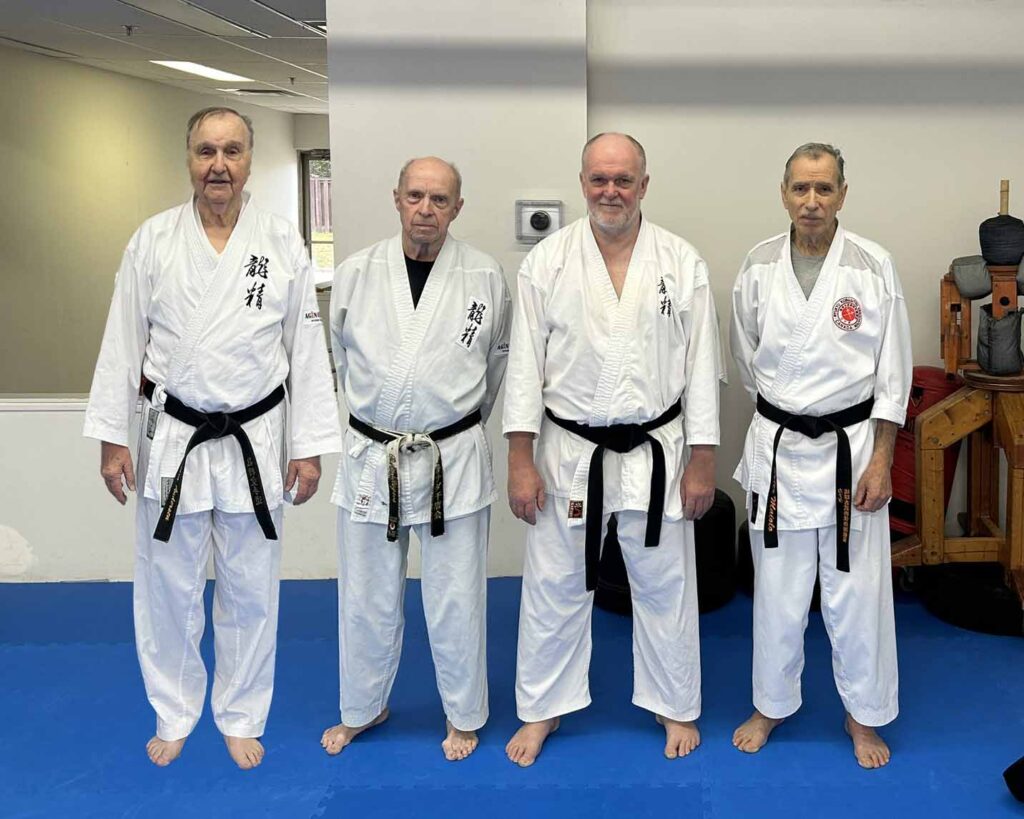 Main image of Iron Butterfly Karate Shorin Ryu Shorin Kan karate and Kobudo
