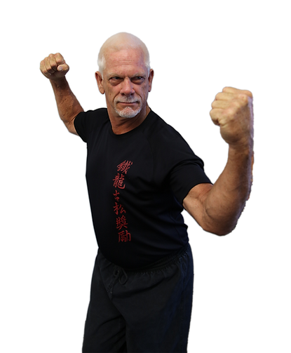 Iron Dragon Martial Arts Institute