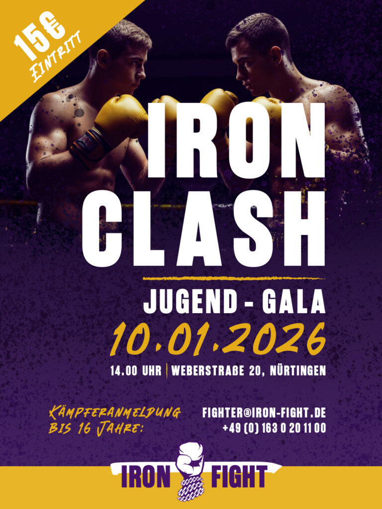 Main image of Iron Fight