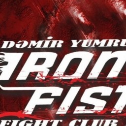 Main image of IronFist