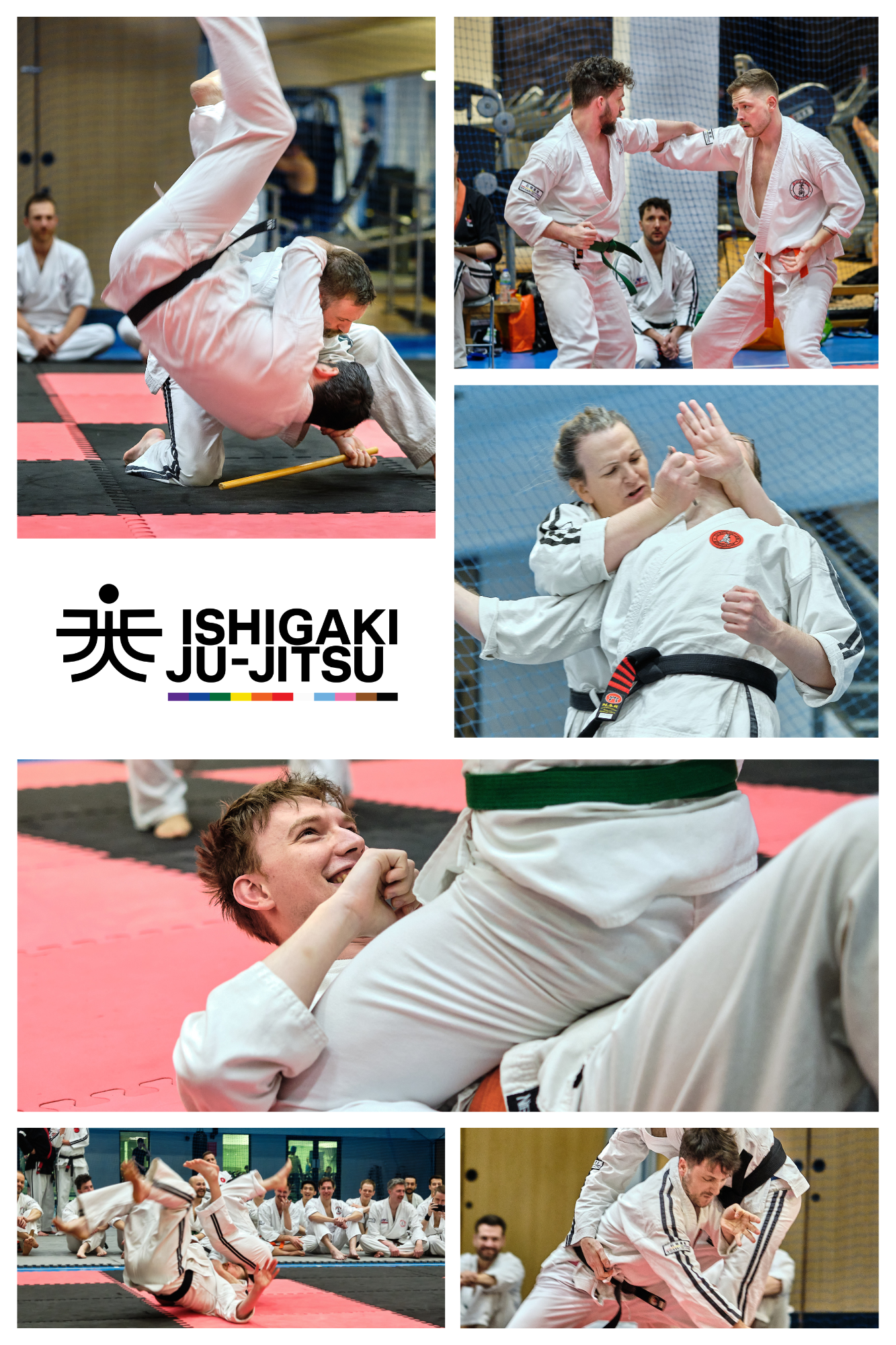 Main image of Ishigaki Jujitsu Club