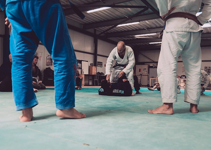Main image of Ismael Padavia - MMA - JJB