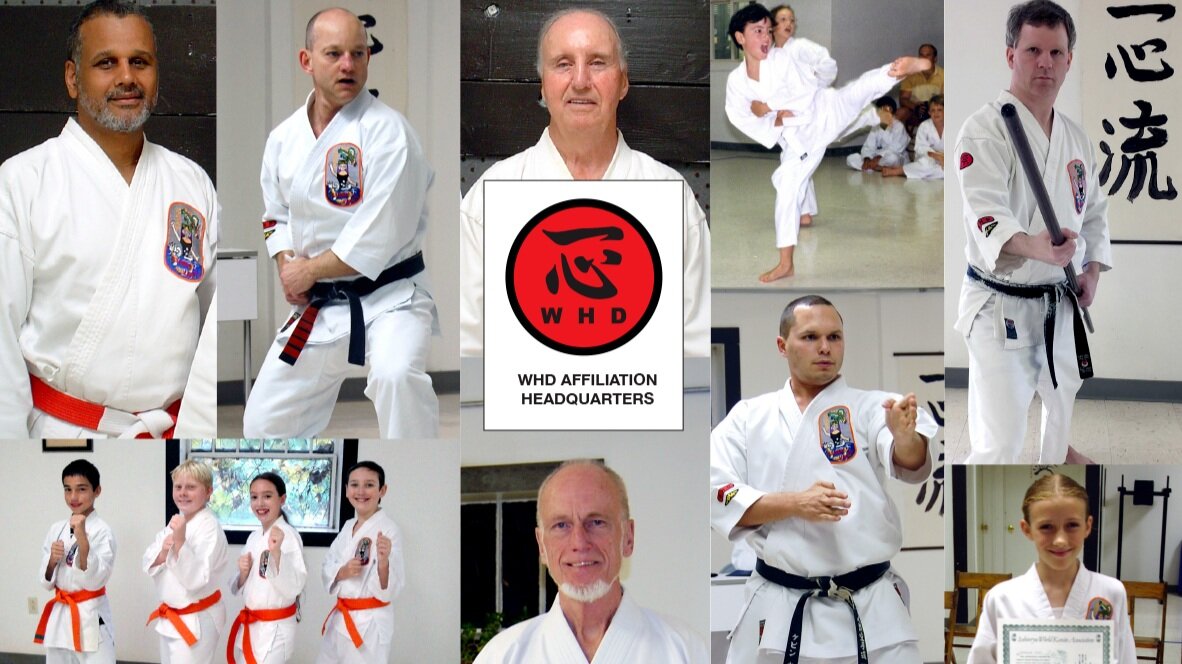 Main image of Isshinryu Karate Academy