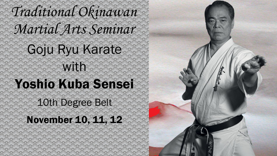 Main image of Iwa Dojo