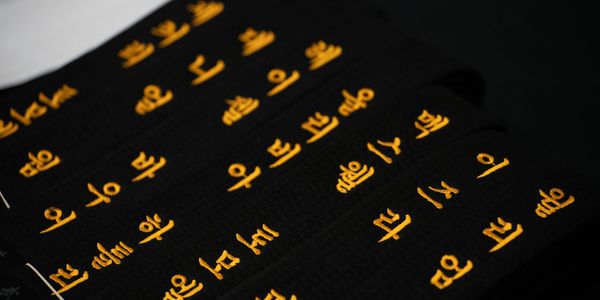 Main image of J W Kim Taekwondo