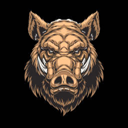 Main image of Jabali bjj