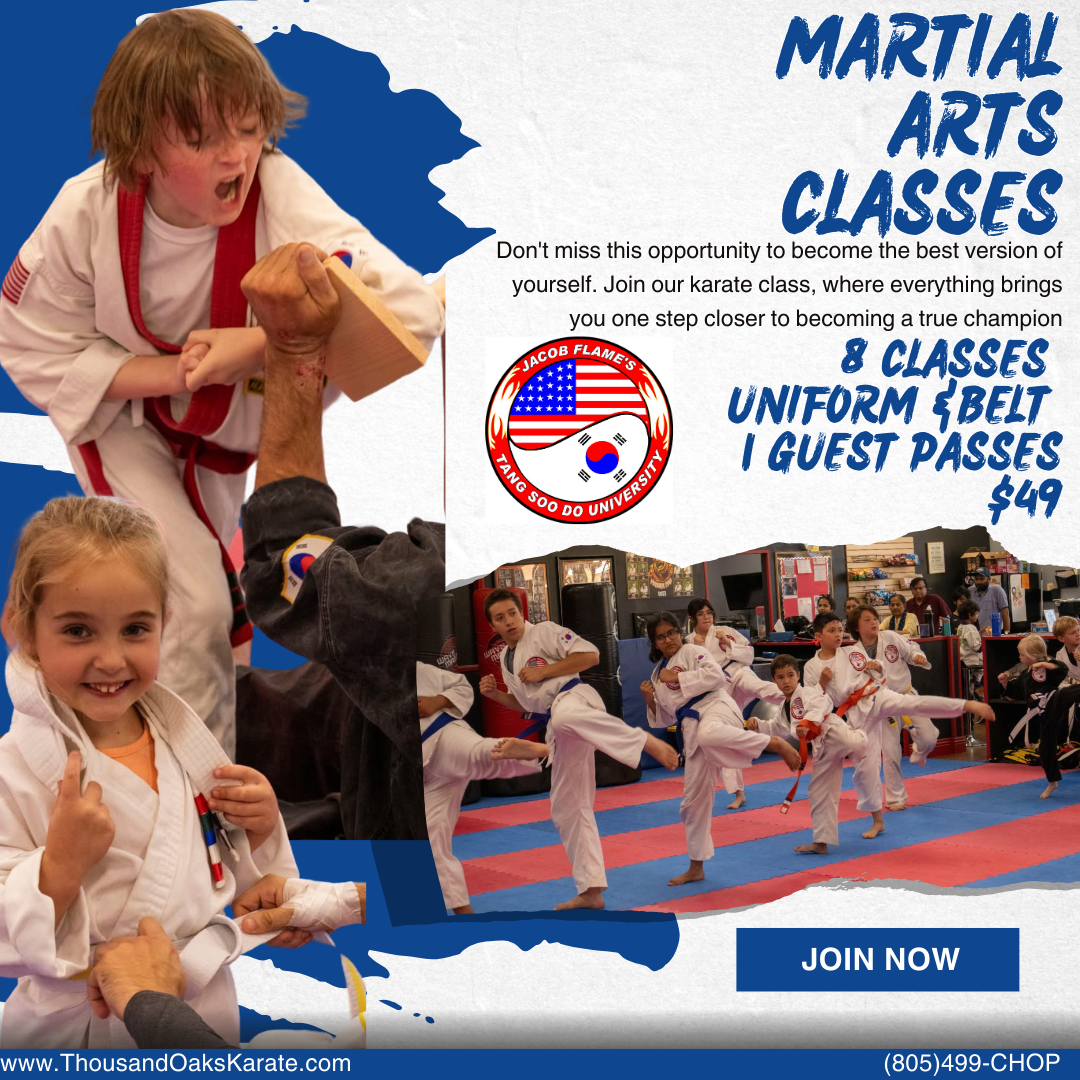 Jacob Flame's Tang Soo Do University