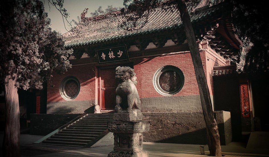 Main image of Jade Fortress Shaolin Martial Arts Academy