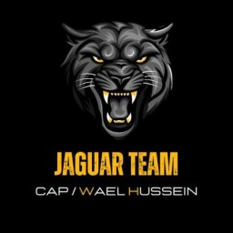 Main image of Jaguar academy